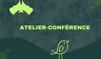 Atelier-conférence gratuit sur les nichoirs et abris fauniques