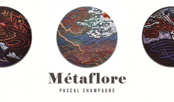 Exposition Métaflore de Pascal Champagne