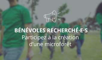 Participez à la création d’une première microforêt   sur le territoire de Mont-Tremblant 